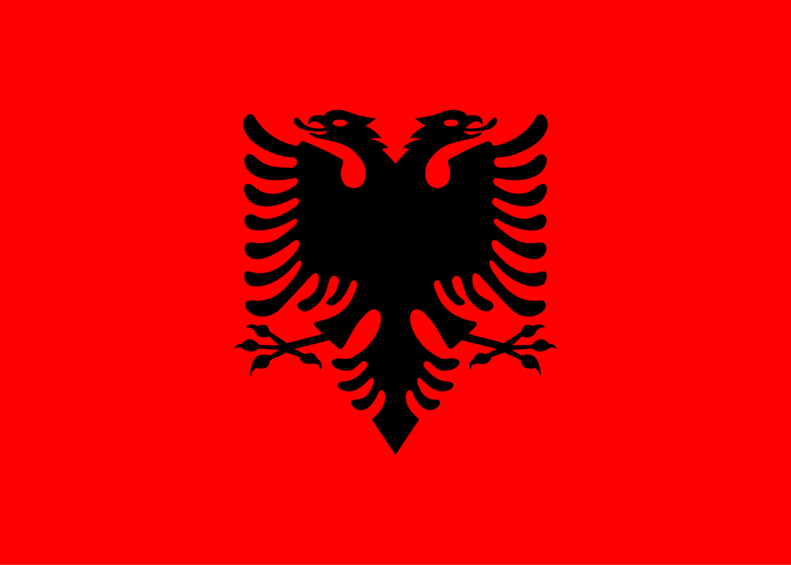 Albania flag