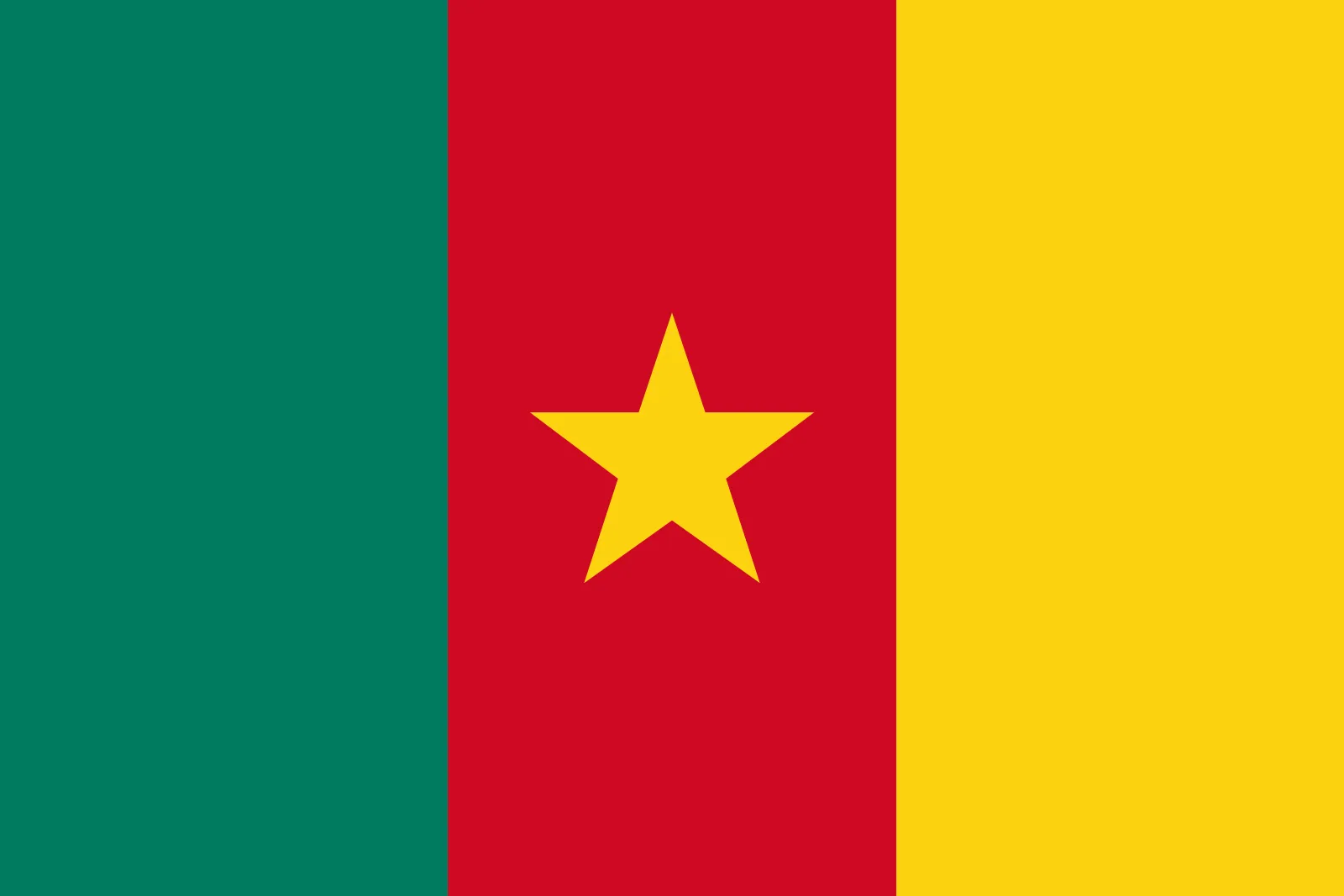 Cameroon flag