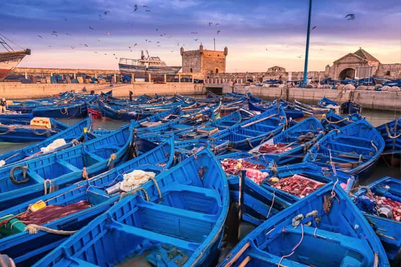 Must-Visit Destinations in Morocco