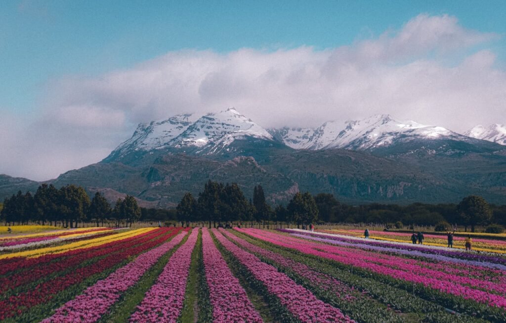 Exploring September in Patagonia: A Trekker’s Paradise