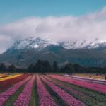 Patagonia 11