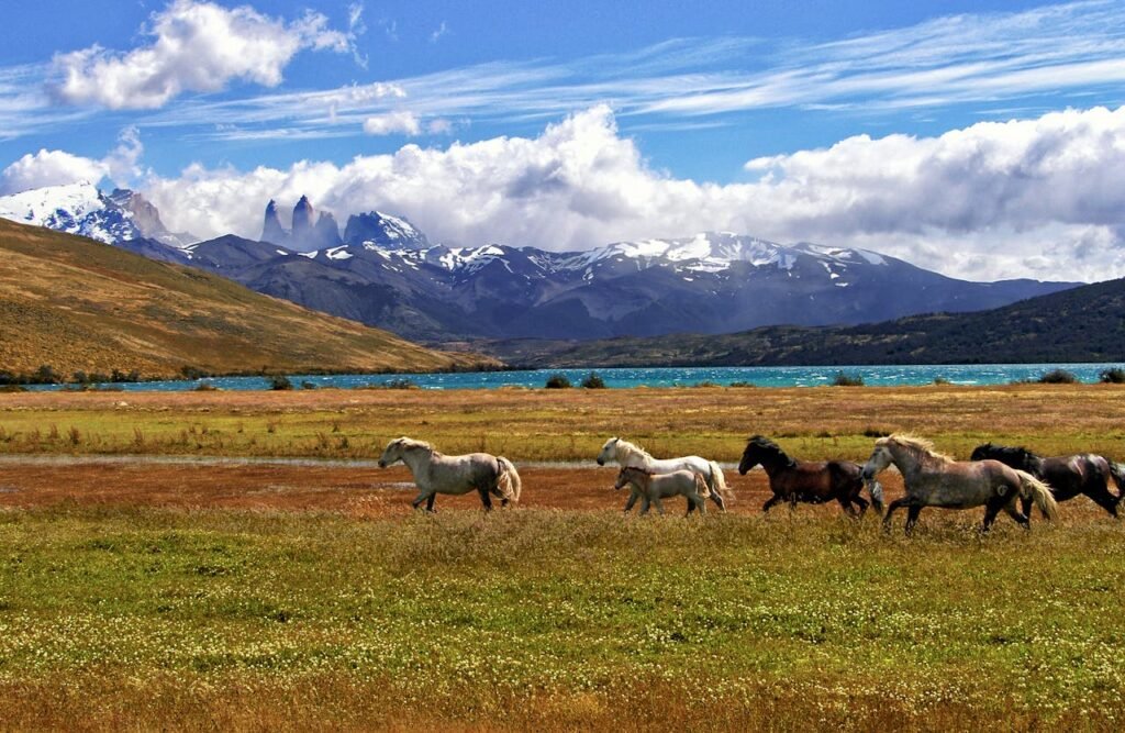 Exploring September in Patagonia: A Trekker’s Paradise