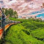 A picturesque train journey through lush green landscapes