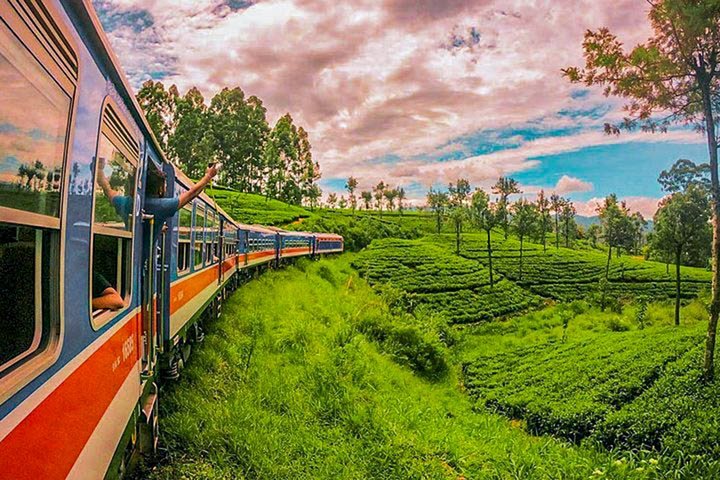 A picturesque train journey through lush green landscapes