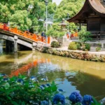 Botanical Wonders travel