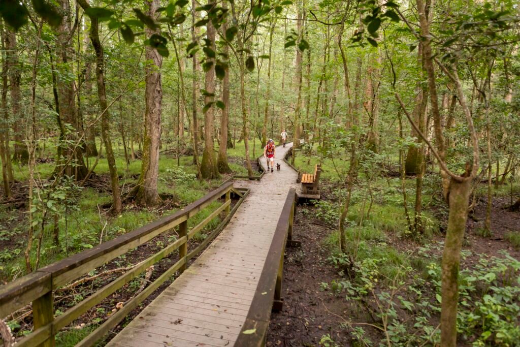 National Parks to Visit in September