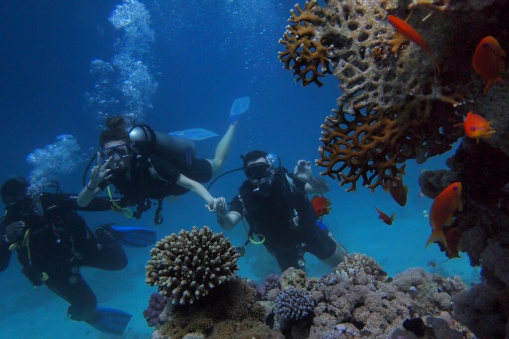 Red Sea scuba diving