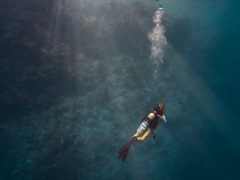 Red Sea scuba diving