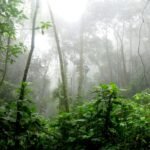 September Adventures in the Amazon Rainforest 1