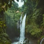 September Adventures in the Amazon Rainforest 2