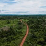 September Adventures in the Amazon Rainforest 4