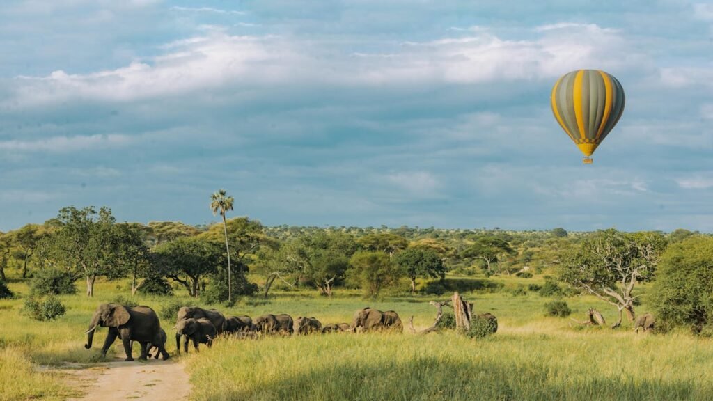 The Ultimate September Safari Adventure in Tanzania