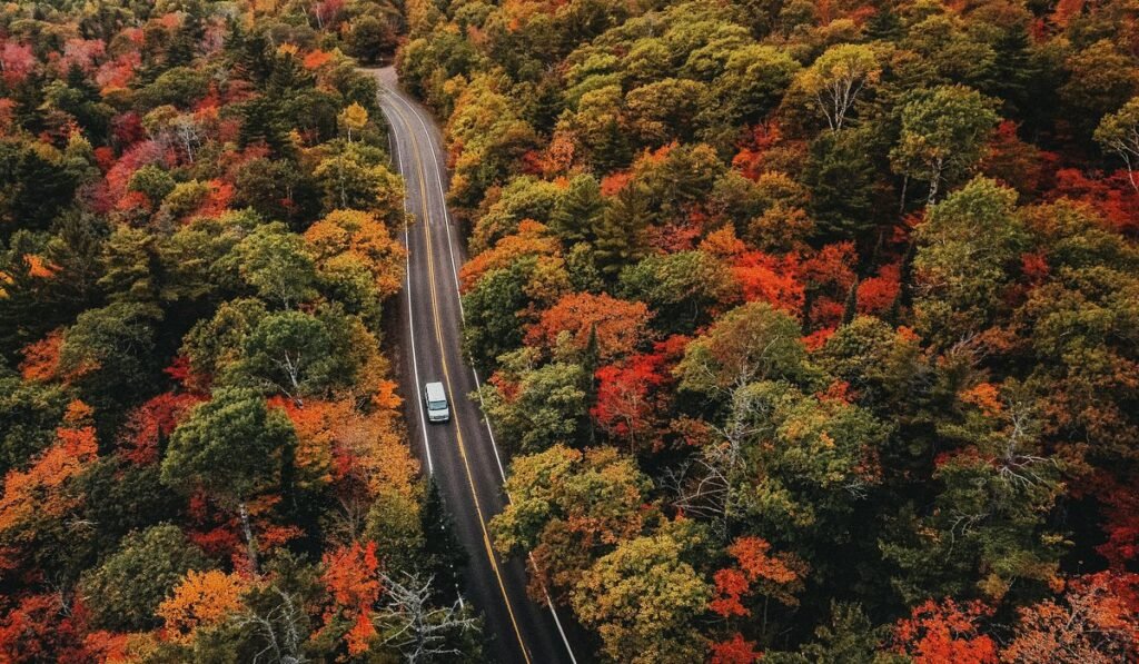 Top 10 Scenic Drives for Fall Foliage in the USA: The Ultimate Guide for Leaf-Peeping Road Trips