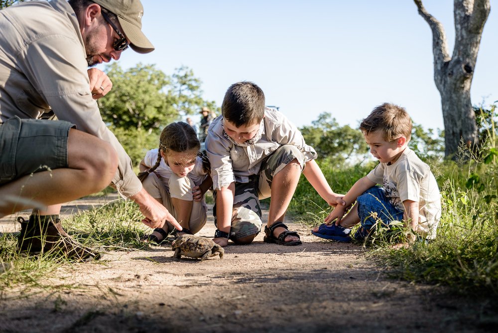 can you take kids on safari