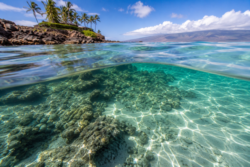 Maui in September: Ultimate Family Guide to Adventure & Relaxation 16 Maui in September: Ultimate Family Guide to Adventure & Relaxation