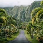 peter thomas TRAYV5rsA9Y unsplash 1