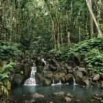 peter thomas i4eRHQMY5B4 unsplash