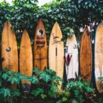 tatonomusic FFCgotROOTY unsplash