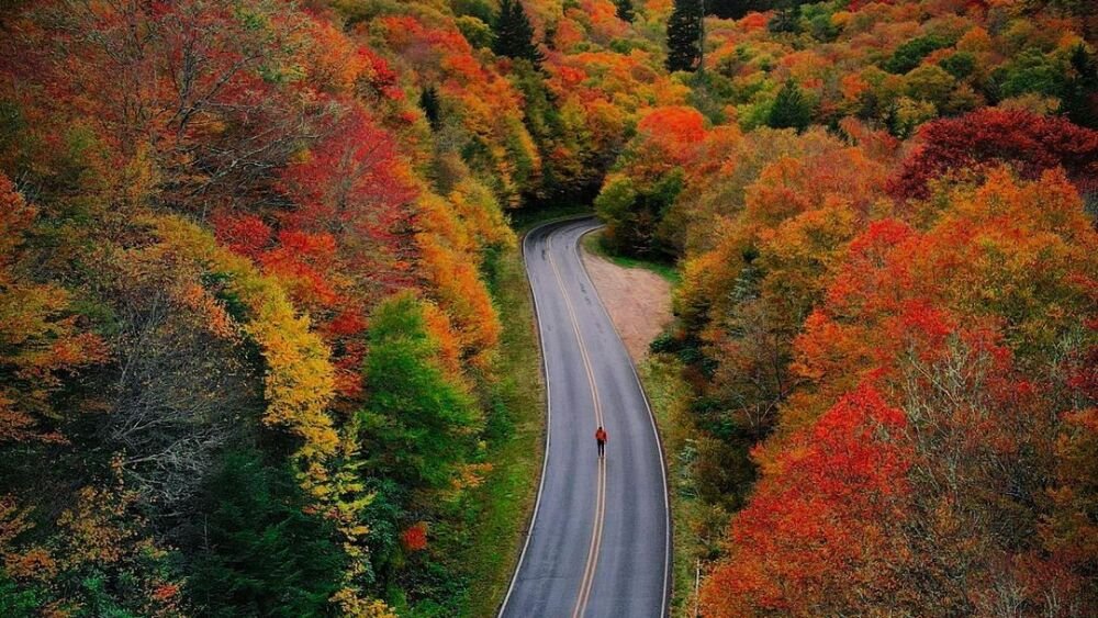 Fall foliage in Asheville, North Carolina