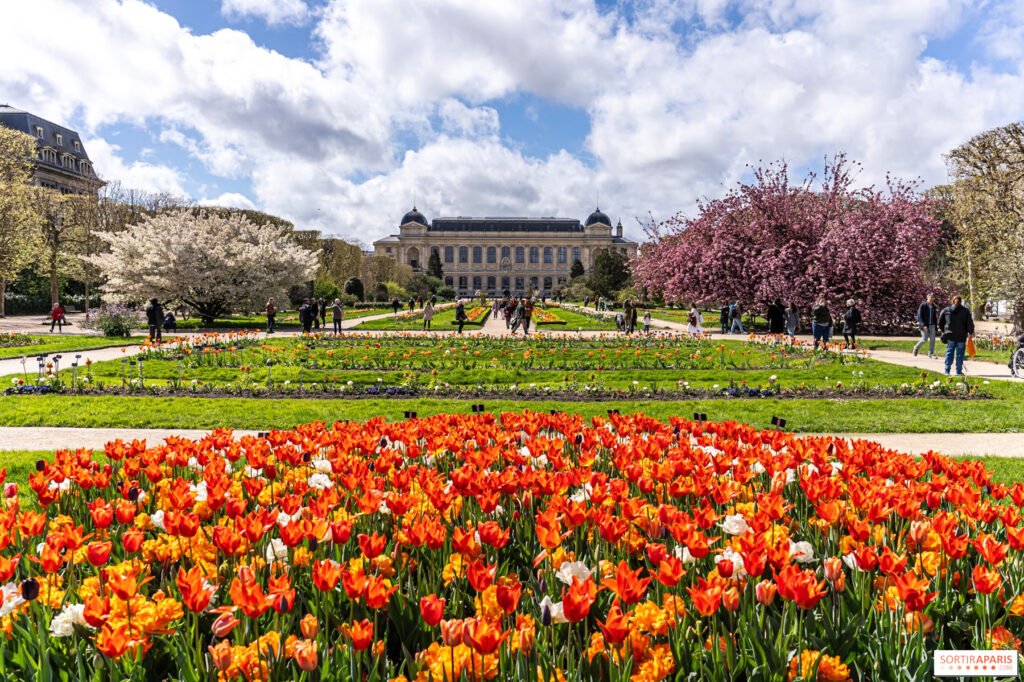 Jardin des Plantes Paris Botanical Treasure