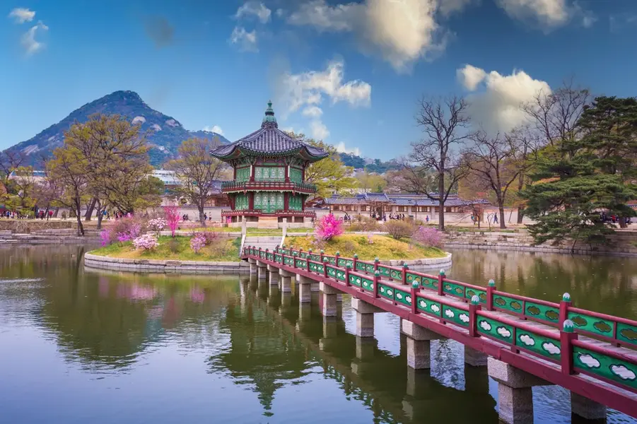 Best Destinations in January for Early Spring Blooms: 15 Enchanting Locations