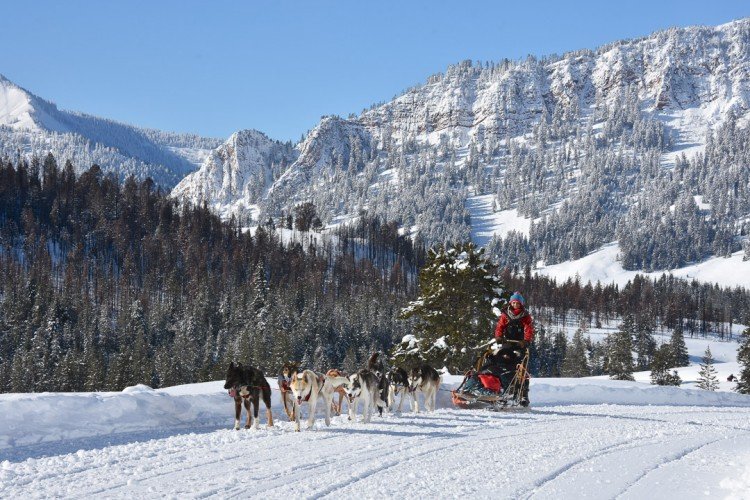 Winter Thrills in Jackson Hole, Wyoming: Skiing, Snowmobiling, and Wildlife Safaris