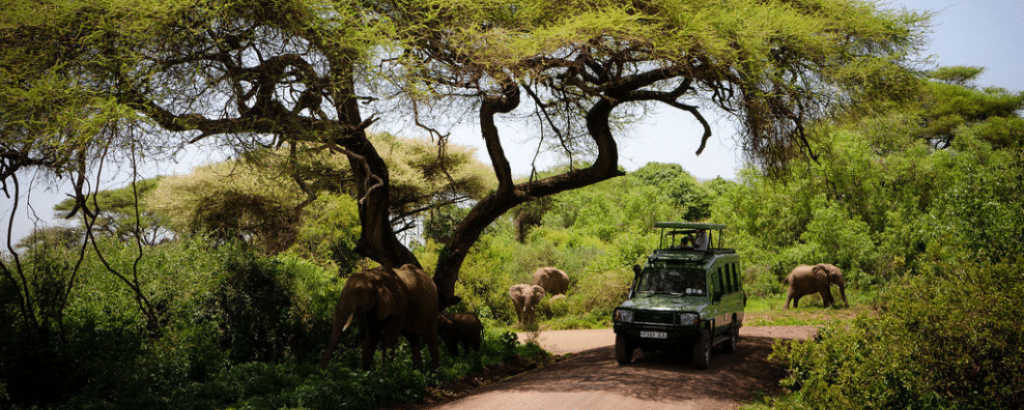 Serengeti National Park Tanzania