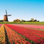 The Best Places to See Spring Blooms Around the World (Beyond Just Cherry Blossoms!)