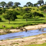 Serengeti National Park