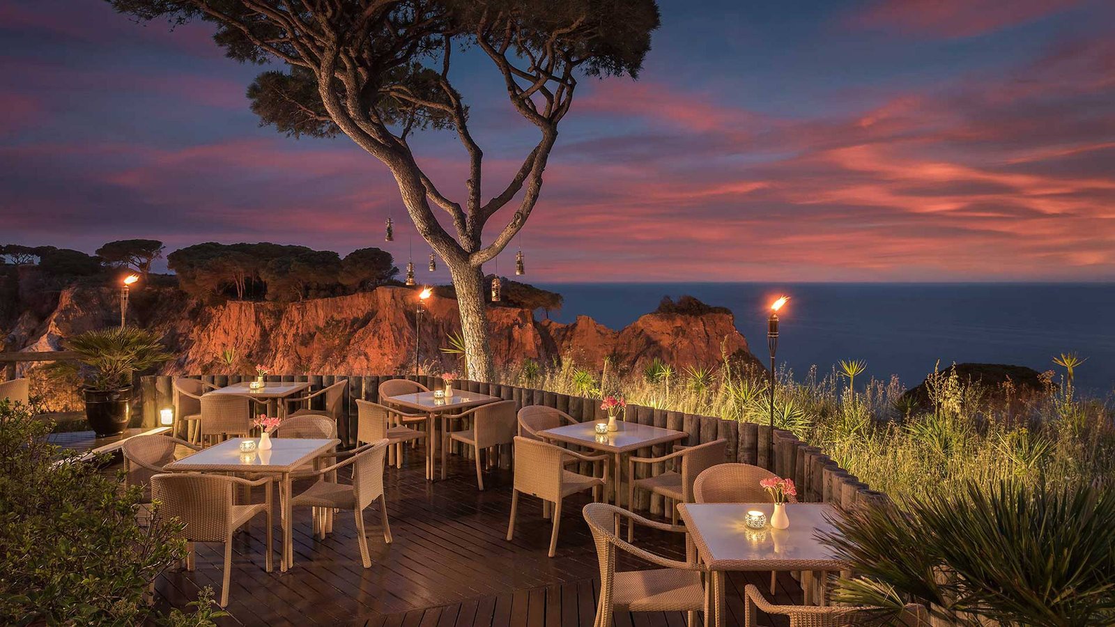 A Coastal Food Journey Through Portugal: Seafood, Vineyards, and Clifftop Dining