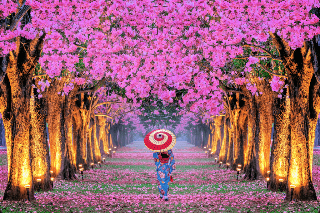 Best Travel Destinations in April: Japan – Cherry Blossom Magic