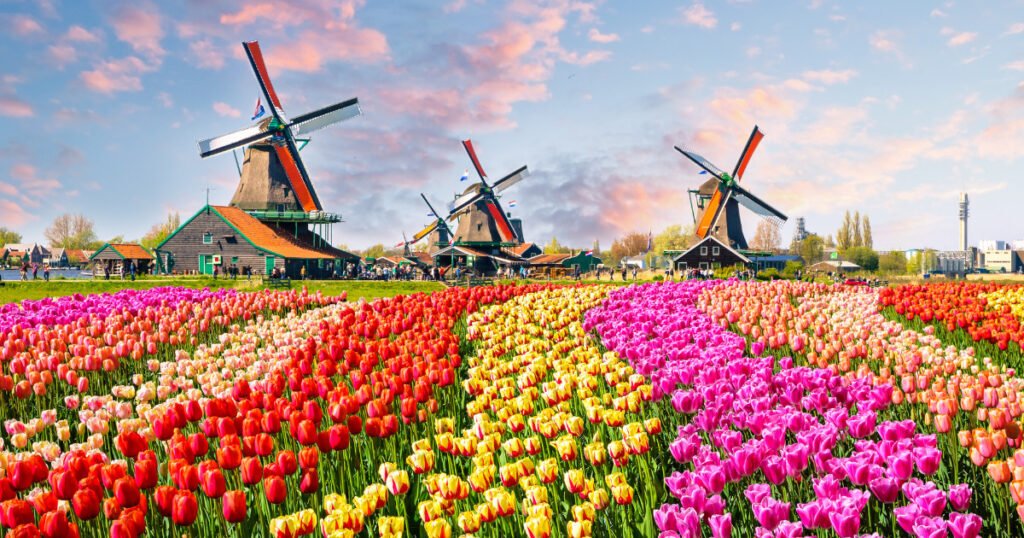 Best Travel Destinations in April: Netherlands – Tulip Season in Full Bloom