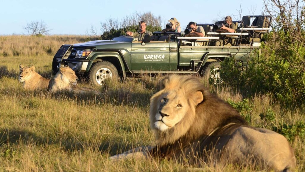 Best Travel Destinations in April: South Africa – Prime Safari and Coastal Adventures
