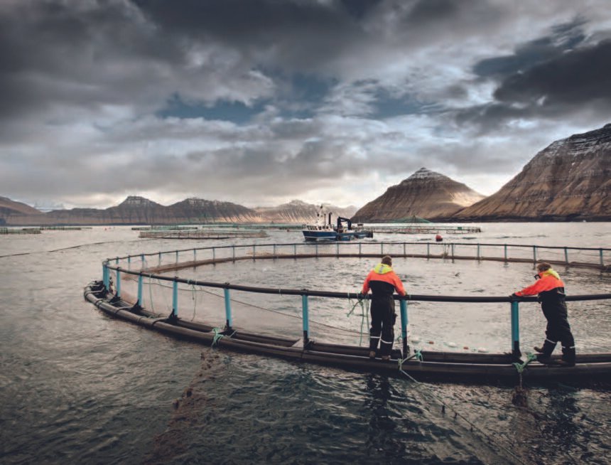 Faroe Islands Salmon 5