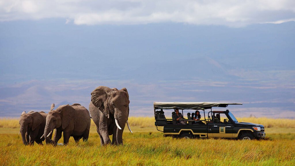best places to travel in june: kenya