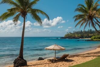 Things to Do at Sealodge Beach