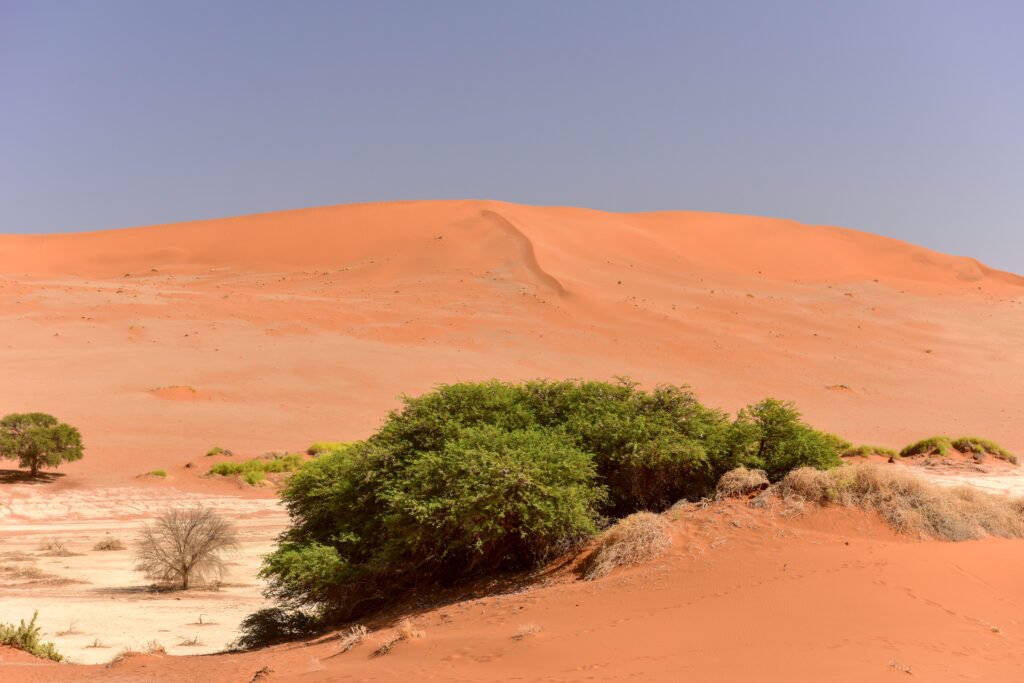 Best Travel Destinations in Africa in July: Your Complete Guide to a Summer Adventure Not Forgotten 33 Best Travel Destinations in Africa in July: Your Complete Guide to a Summer Adventure Not Forgotten