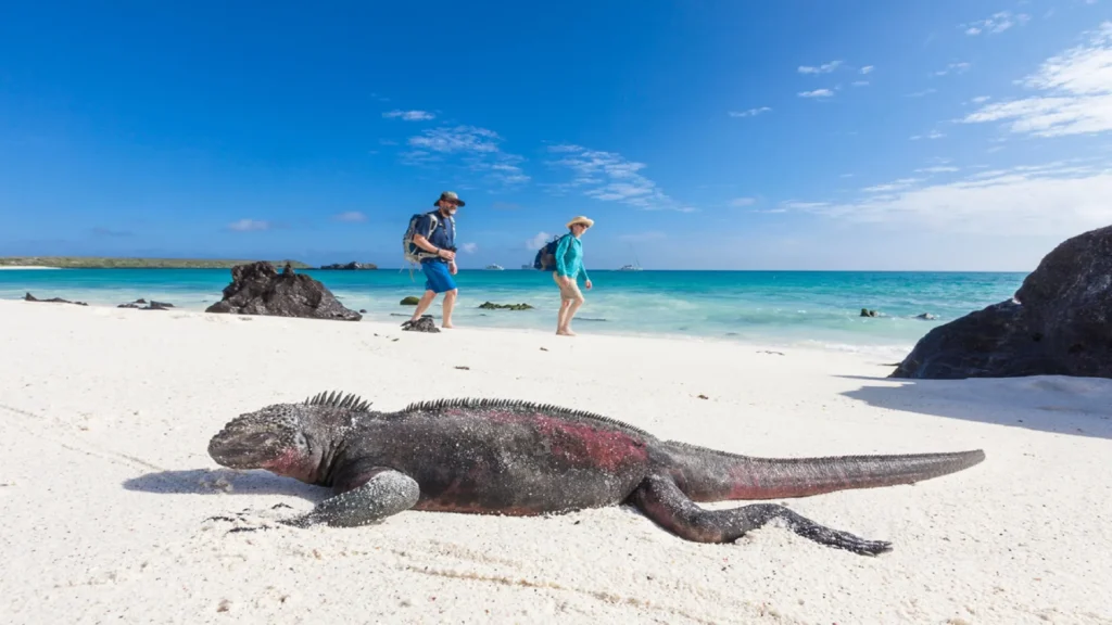 Best Wildlife and Nature Trips to Take in August 29 best nature destinations in August
