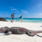 Galapagos Islands travel