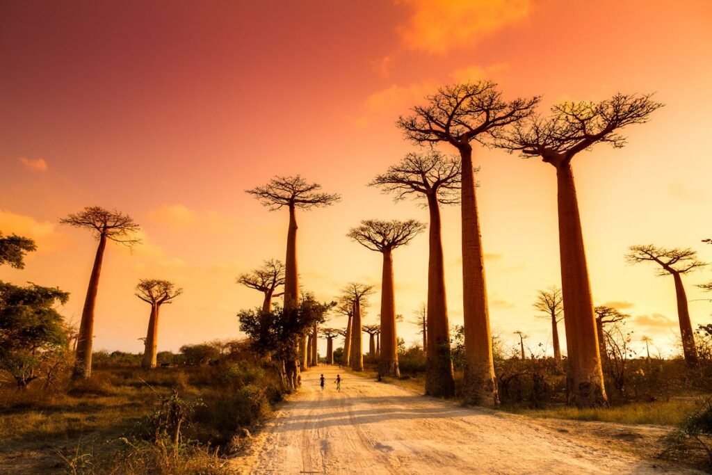 best places to travel in August