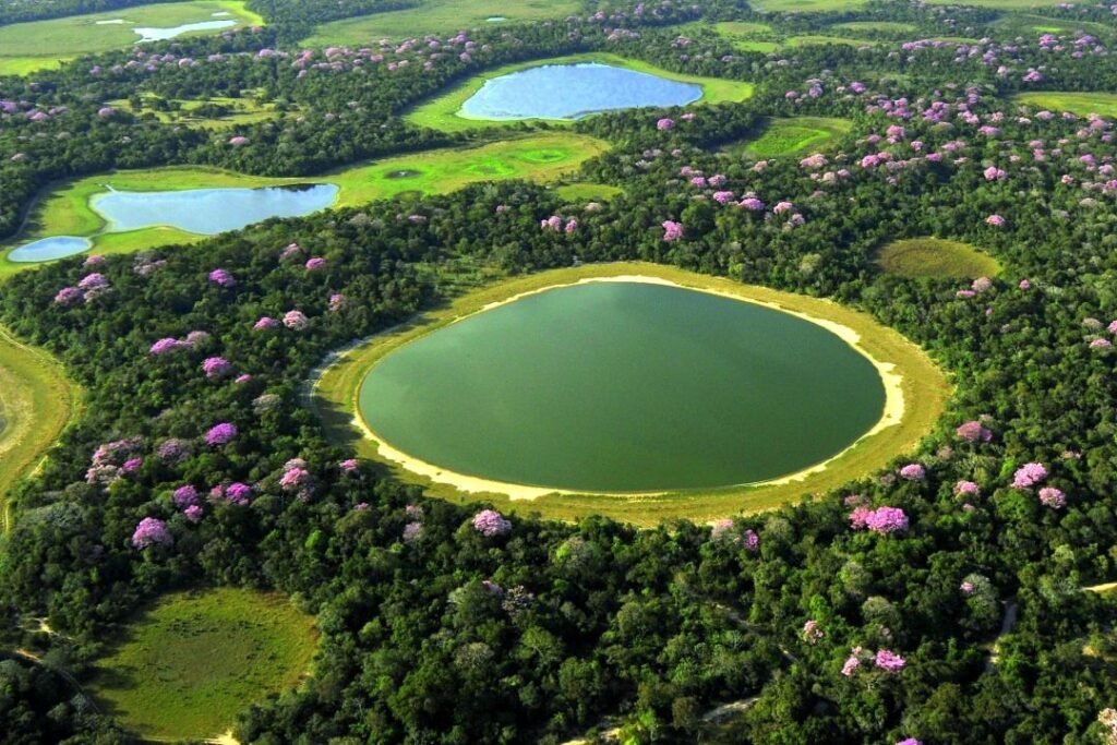 Best Wildlife and Nature Trips to Take in August 33 best nature destinations in August