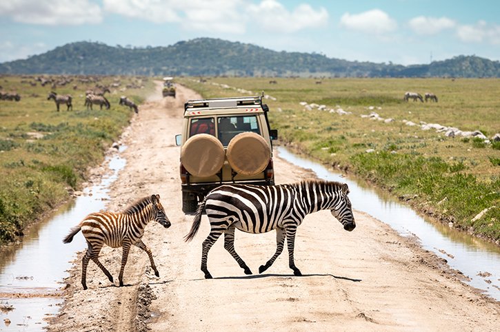 Best Wildlife and Nature Trips to Take in August 31 best nature destinations in August