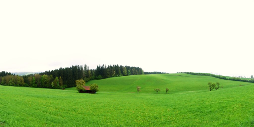 A Timeless Guide to Exploring the Beauty of the Czech Countryside 30 czech countryside
