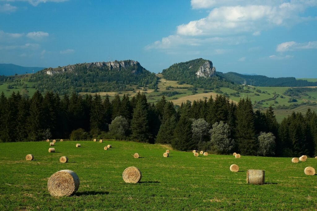 A Timeless Guide to Exploring the Beauty of the Czech Countryside 31 czech countryside