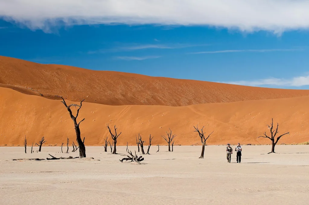 Best Wildlife and Nature Trips to Take in August 36 best nature destinations in August