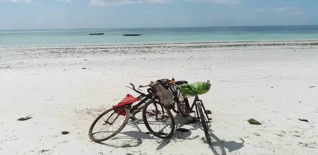 solo travel in Zanzibar