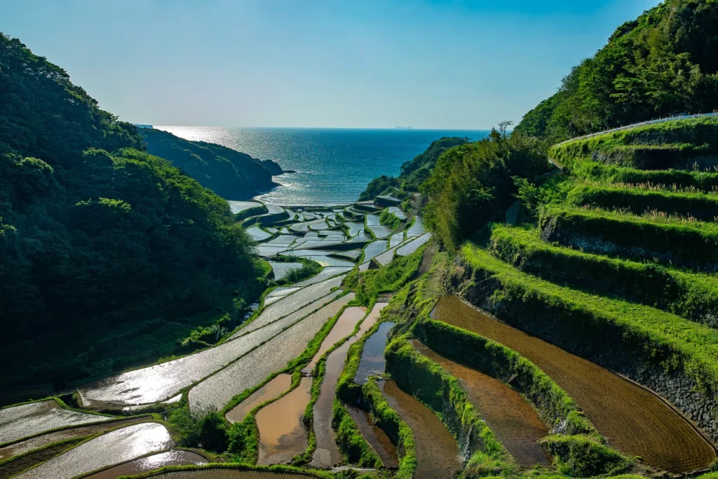 Best Time to Visit Kyushu (Month-by-Month Weather & Festivals) 31 Kyushu