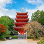 Best Time to Visit Kyushu (Month-by-Month Weather & Festivals)