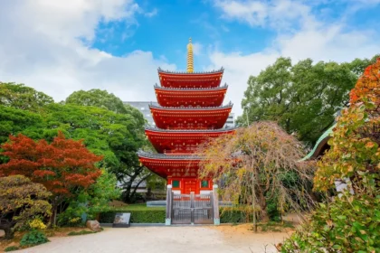 Best Time to Visit Kyushu (Month-by-Month Weather & Festivals)