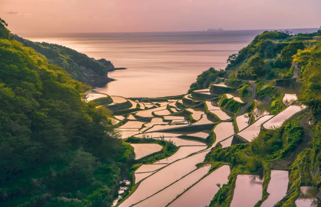 The Kyushu Travel Guide: Everything You Need to Know 29 Kyushu